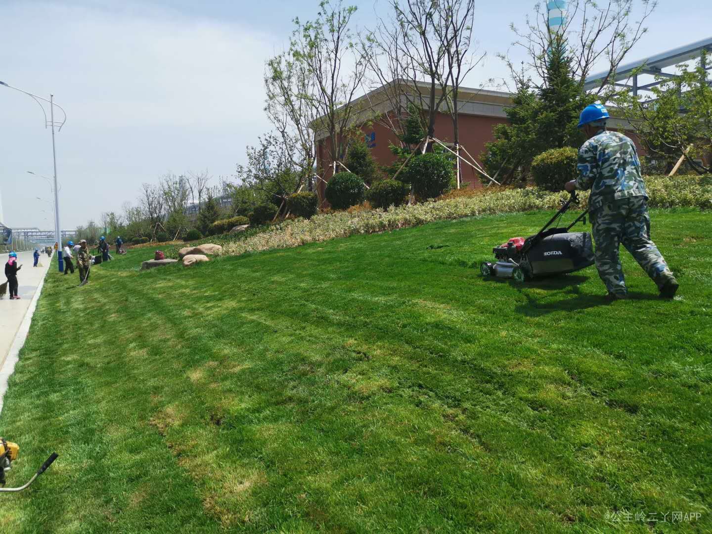 绿化工人招聘_北京市园林绿化局直属事业单位2021年公开招聘工作人员公告(4)